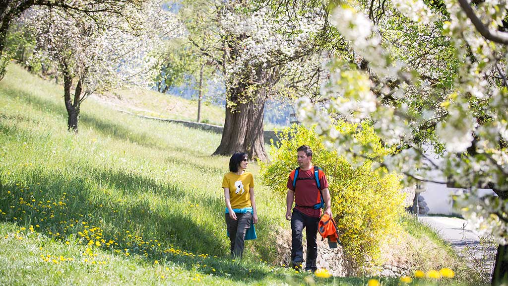 Frühling