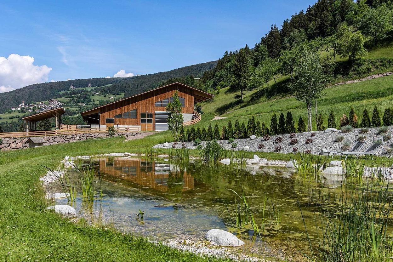 Biotop beim Unterspisserhof Biotop beim Unterspisserhof