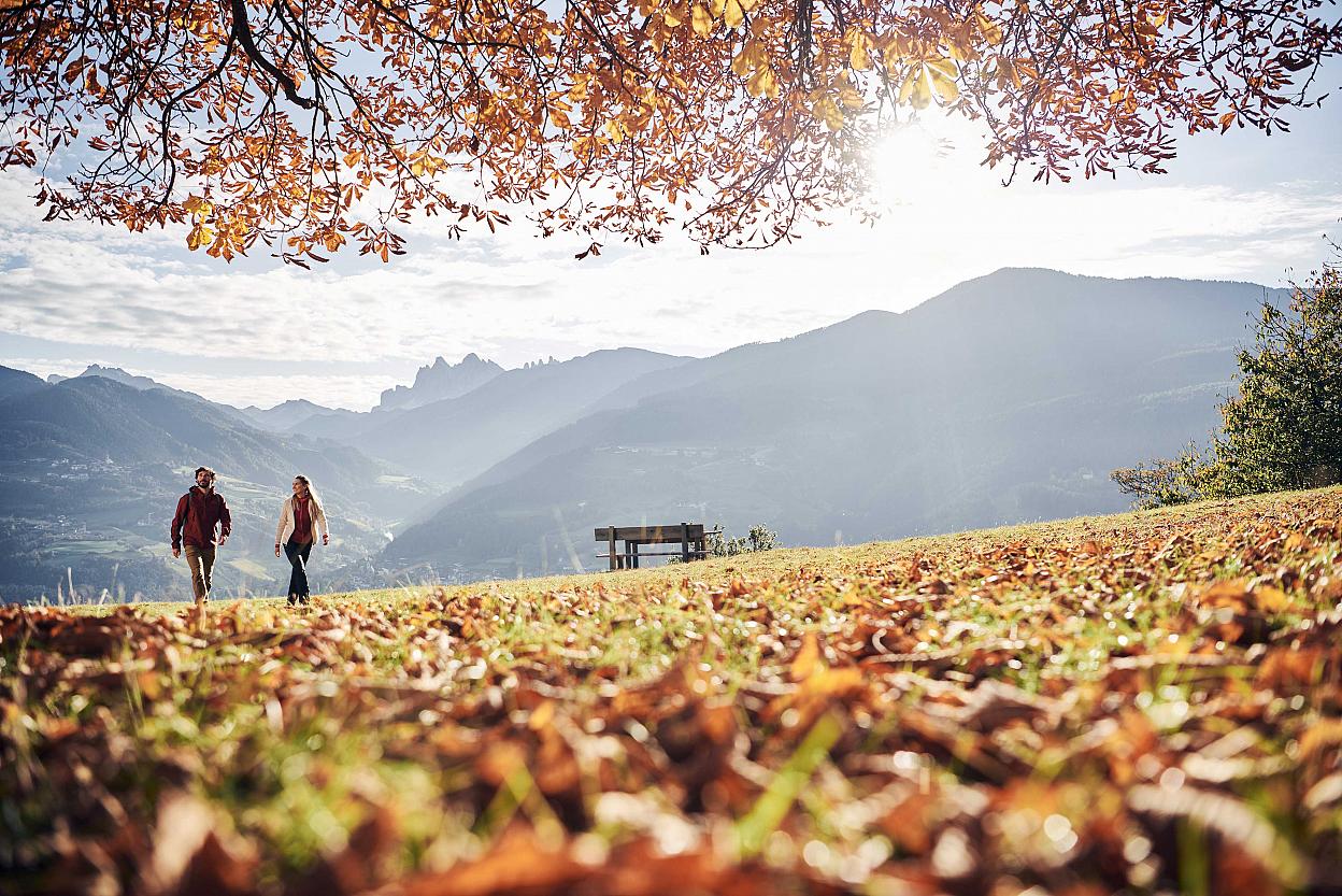 Goldener Herbst