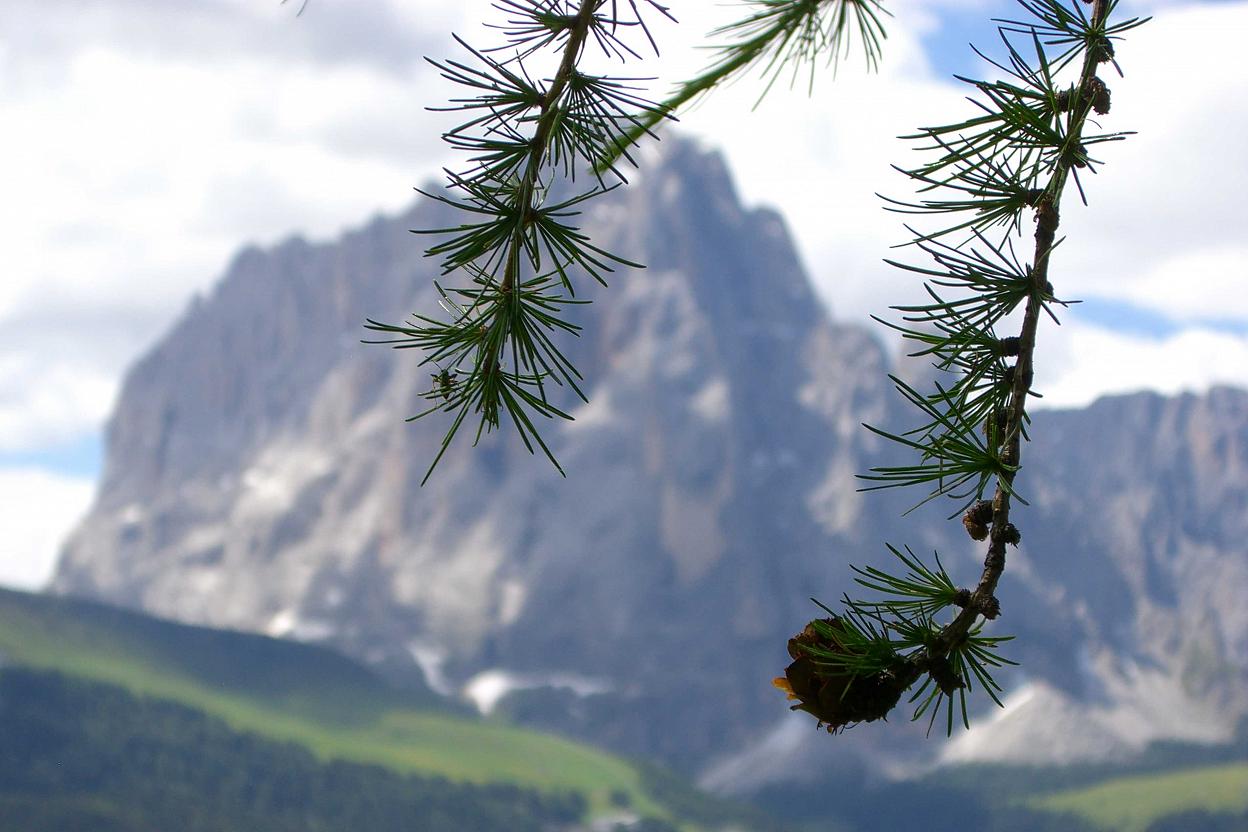 langkofel